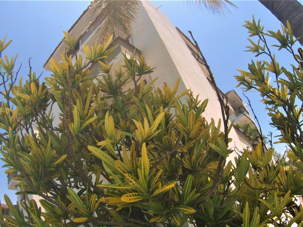Suites Las Palmas Hotel Y Villas Manzanillo Exterior photo