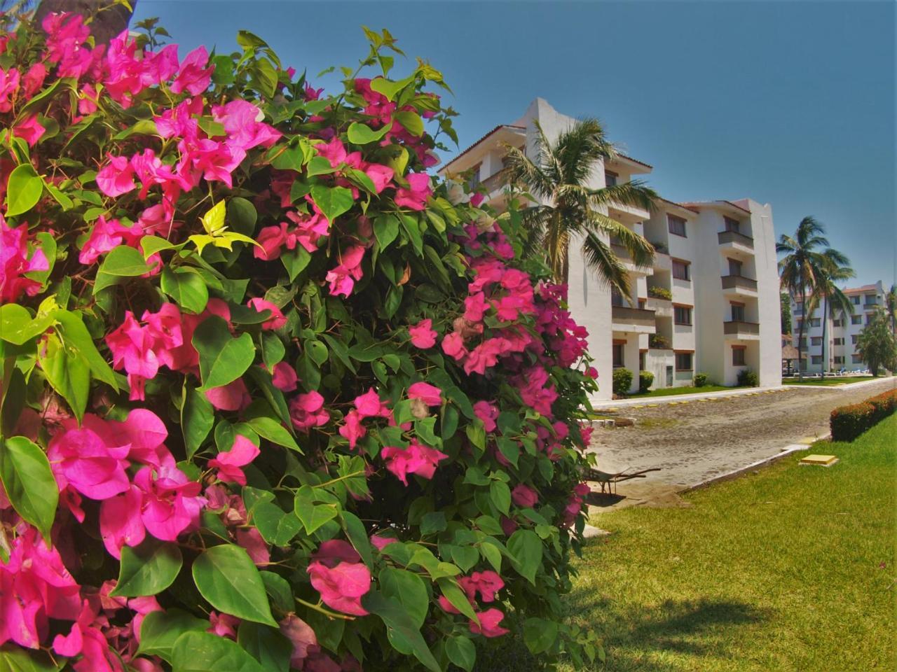 Suites Las Palmas Hotel Y Villas Manzanillo Exterior photo